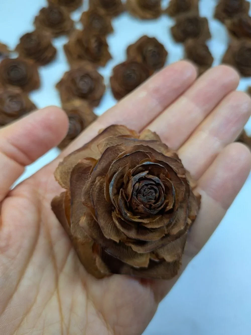 30 Real Cedar Rose Cones Natural Wooden Flowers Crafting & Wreath Supply